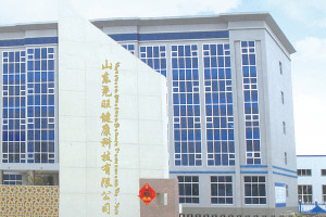 关于尧旺