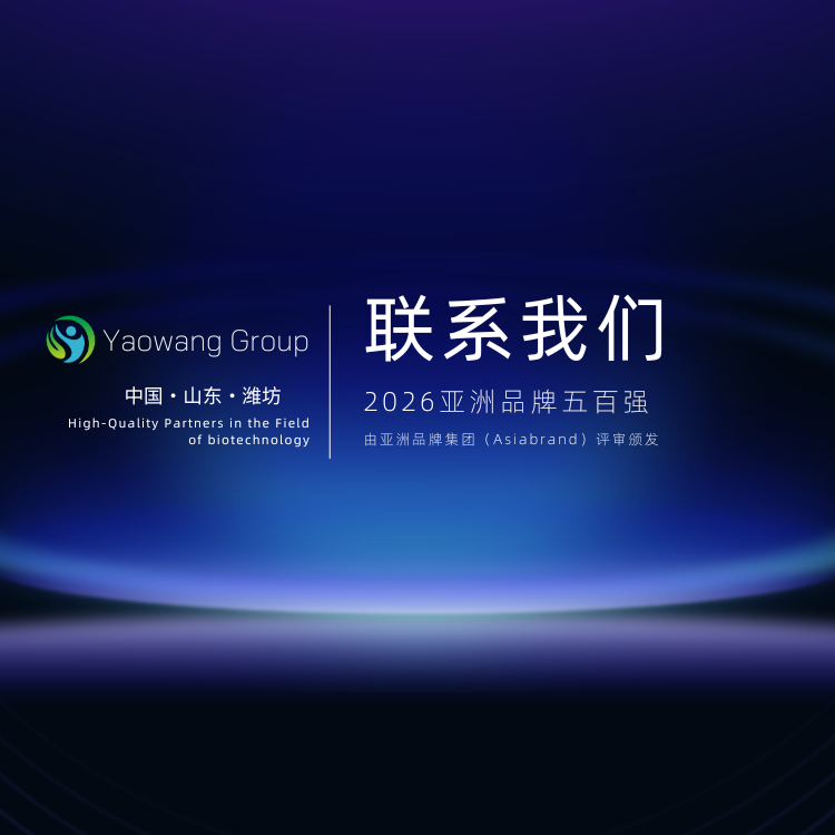 联系我们