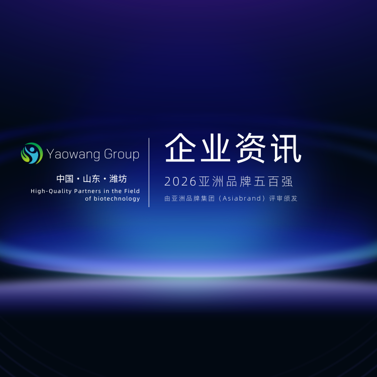新闻资讯